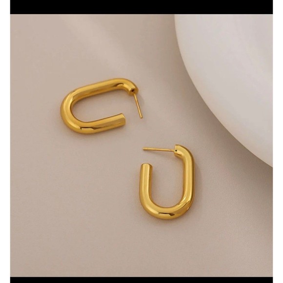 Round Planting Stainless Steel 18K gold plated Hoop Earrings - Picture 4 of 6